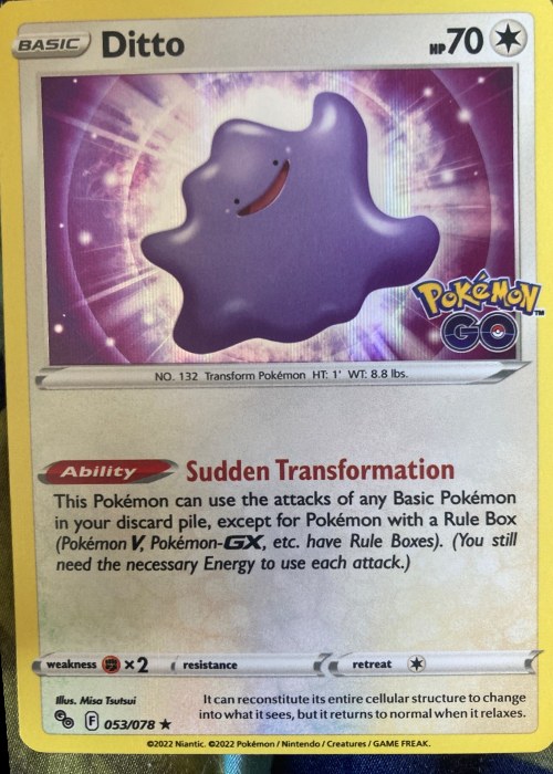 Reference image of Ditto Pokémon GO