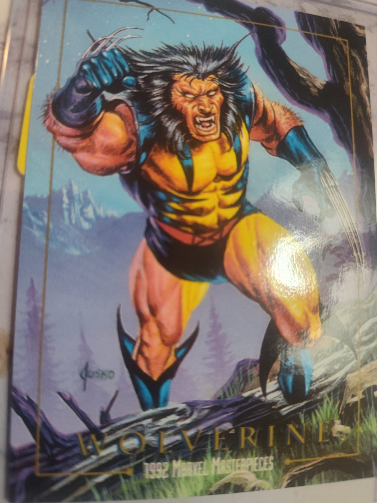 Reference image of Wolverine 1992 Marvel Universe