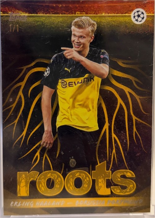 Reference image of Erling Haaland Roots Gold
