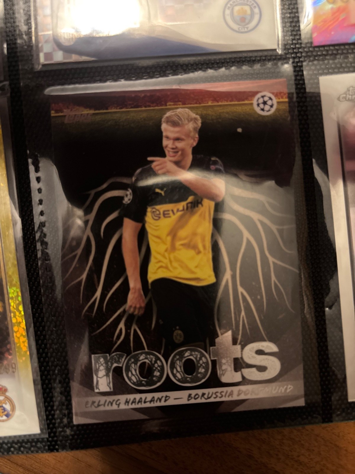 Reference image of Erling Haaland Roots Roots