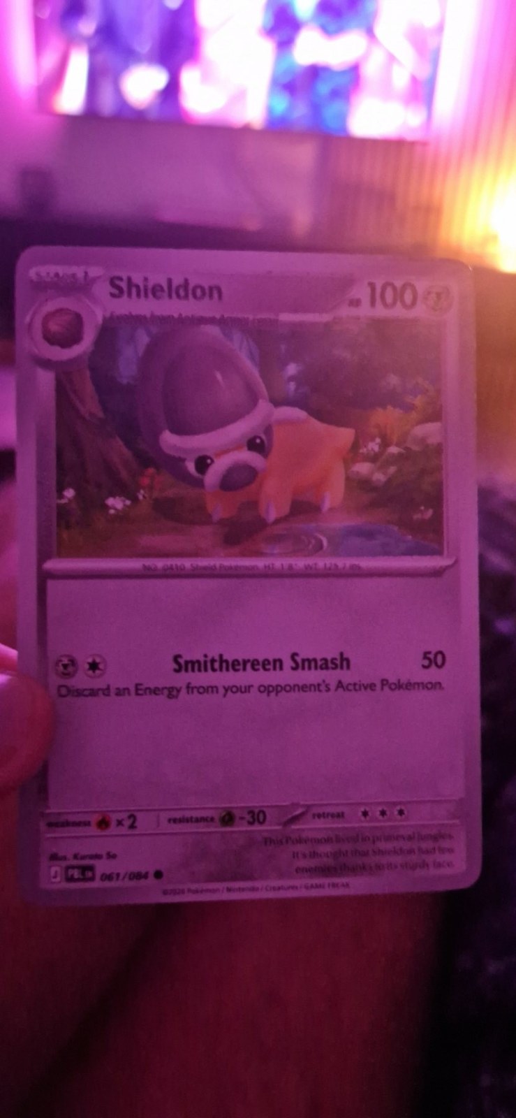 Reference image of Shieldon Pokémon Trading Card Game